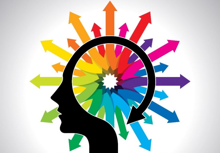 Insight – Edition 1